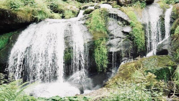 Arten von Erdstrahlung: Wasserader • Johannes Musseleck • Rutengänger, Baubiologe & Radiästhet • DERGESUNDEPLATZ