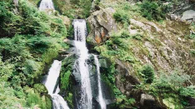 Arten von Erdstrahlung: Wasserader • Johannes Musseleck • Rutengänger, Baubiologe & Radiästhet • DERGESUNDEPLATZ